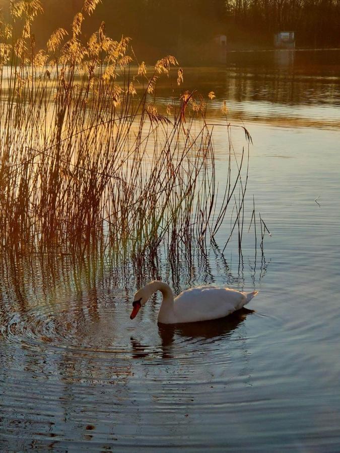 דירות גביראטה Tramonto Al Lago מראה חיצוני תמונה